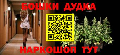 сатива Конаково